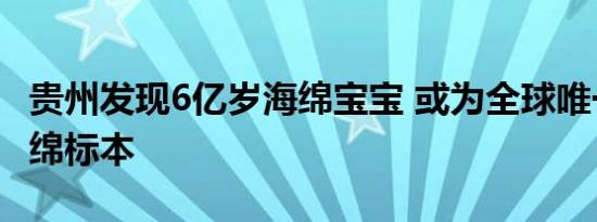 贵州发现6亿岁海绵宝宝 或为全球唯一孤品海绵标本