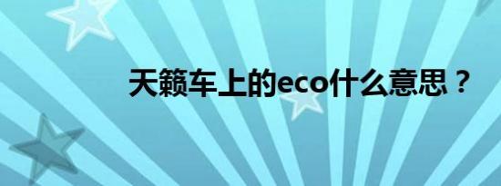 天籁车上的eco什么意思？