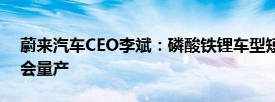 蔚来汽车CEO李斌：磷酸铁锂车型短期内不会量产