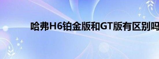 哈弗H6铂金版和GT版有区别吗