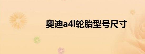 奥迪a4l轮胎型号尺寸