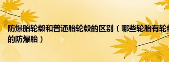 防爆胎轮毂和普通胎轮毂的区别（哪些轮胎有轮毂保护设计的防爆胎）