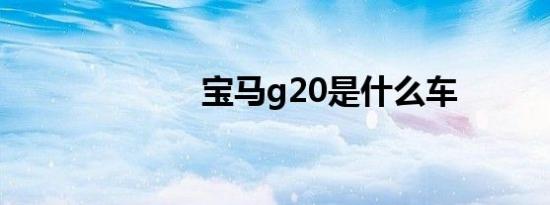 宝马g20是什么车