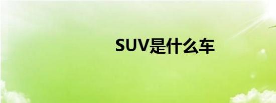 SUV是什么车