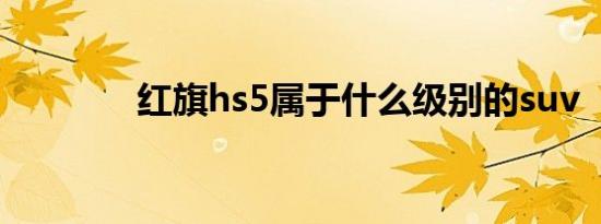 红旗hs5属于什么级别的suv