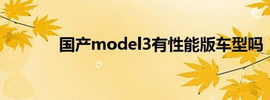 国产model3有性能版车型吗