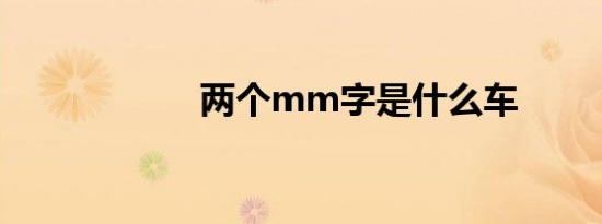 两个mm字是什么车