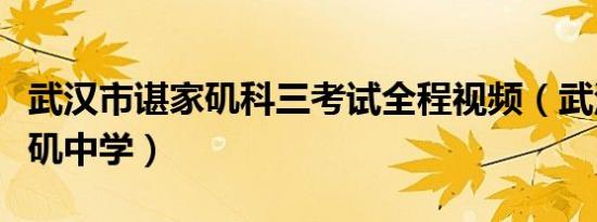 武汉市谌家矶科三考试全程视频（武汉市谌家矶中学）