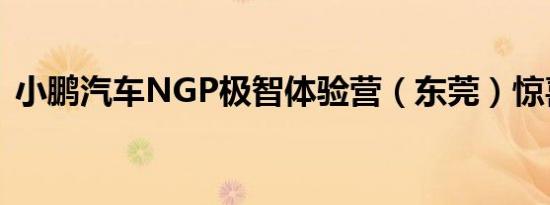 小鹏汽车NGP极智体验营（东莞）惊喜收官