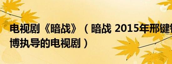 电视剧《暗战》（暗战 2015年邢键钧、栗心博执导的电视剧）