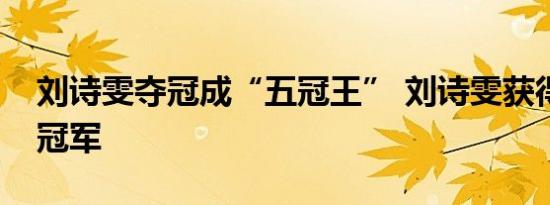 刘诗雯夺冠成“五冠王” 刘诗雯获得了什么冠军