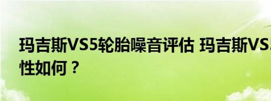 玛吉斯VS5轮胎噪音评估 玛吉斯VS5的静音性如何？