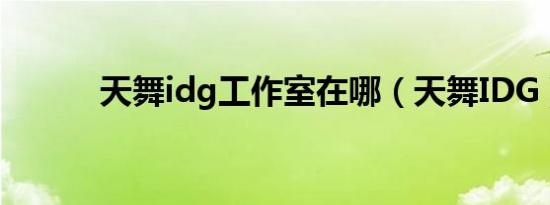 天舞idg工作室在哪（天舞IDG）