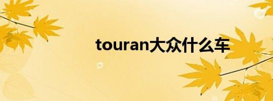 touran大众什么车