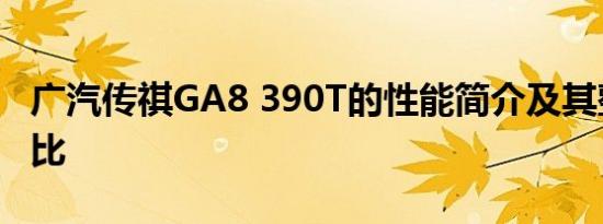 广汽传祺GA8 390T的性能简介及其整体性价比