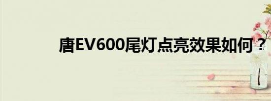 唐EV600尾灯点亮效果如何？