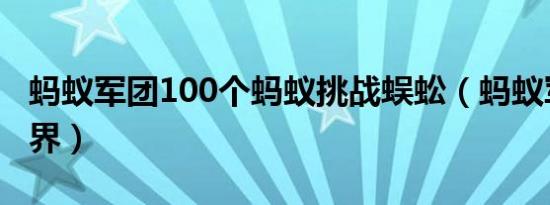 蚂蚁军团100个蚂蚁挑战蜈蚣（蚂蚁军团在异界）