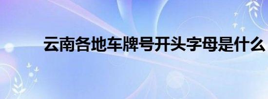 云南各地车牌号开头字母是什么？