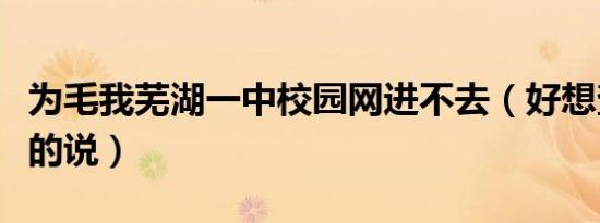 为毛我芜湖一中校园网进不去（好想查到分班的说）