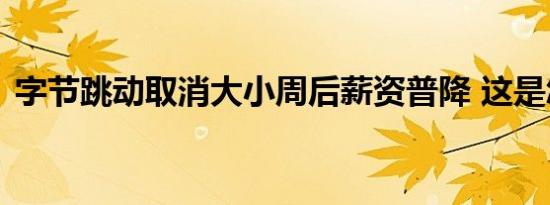 字节跳动取消大小周后薪资普降 这是怎样的