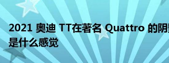 2021 奥迪 TT在著名 Quattro 的阴影下成长是什么感觉