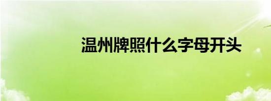 温州牌照什么字母开头