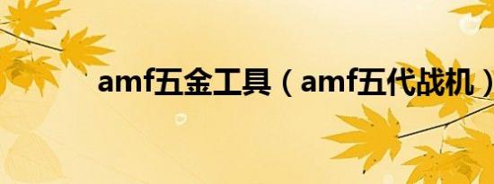 amf五金工具（amf五代战机）