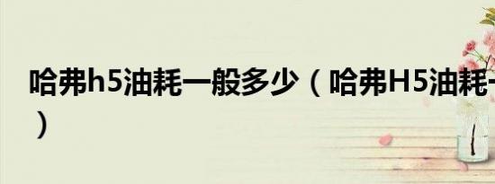 哈弗h5油耗一般多少（哈弗H5油耗一般多少）