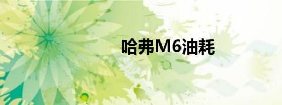 哈弗M6油耗