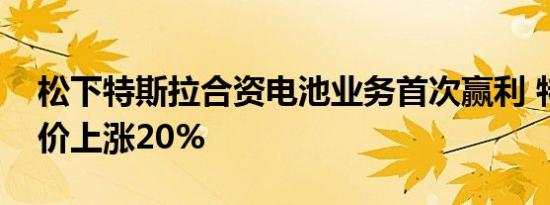 松下特斯拉合资电池业务首次赢利 特斯拉股价上涨20%