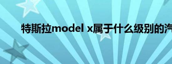 特斯拉model x属于什么级别的汽车