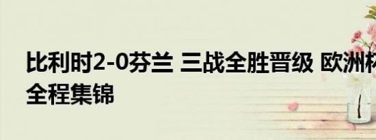 比利时2-0芬兰 三战全胜晋级 欧洲杯小组赛全程集锦