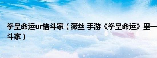 拳皇命运ur格斗家（薇丝 手游《拳皇命运》里一名R级的格斗家）