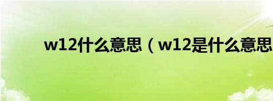 w12什么意思（w12是什么意思）