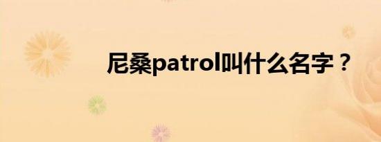 尼桑patrol叫什么名字？