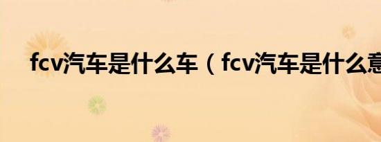 fcv汽车是什么车（fcv汽车是什么意思）