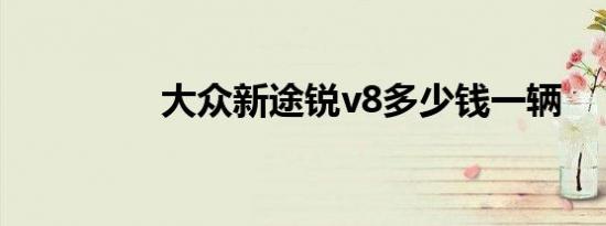 大众新途锐v8多少钱一辆