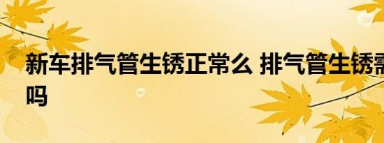 新车排气管生锈正常么 排气管生锈需要处理吗