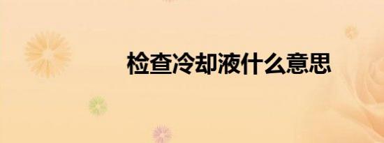 检查冷却液什么意思