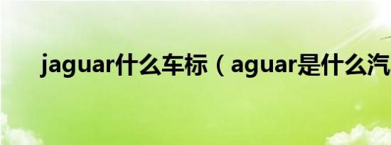 jaguar什么车标（aguar是什么汽车）