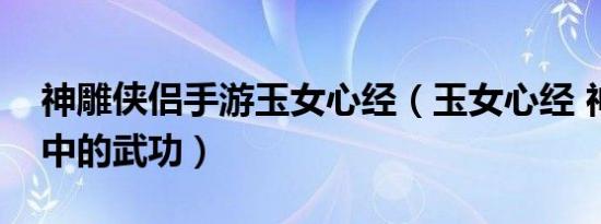 神雕侠侣手游玉女心经（玉女心经 神雕侠侣中的武功）