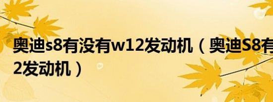 奥迪s8有没有w12发动机（奥迪S8有没有W12发动机）