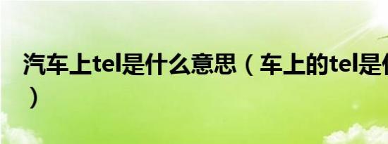 汽车上tel是什么意思（车上的tel是什么意思）