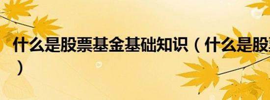 什么是股票基金基础知识（什么是股票委托单）