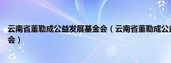 云南省董勒成公益发展基金会（云南省董勒成公益发展基金会）