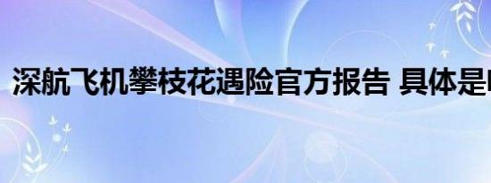 深航飞机攀枝花遇险官方报告 具体是啥情况