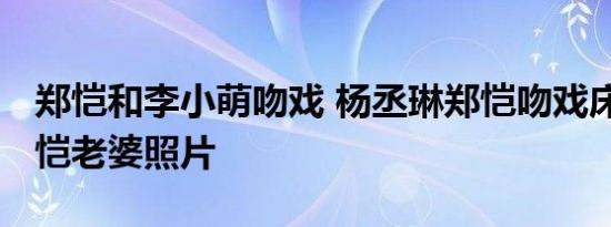 郑恺和李小萌吻戏 杨丞琳郑恺吻戏床照片 郑恺老婆照片