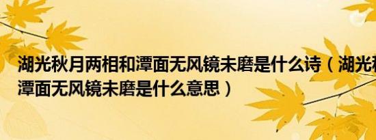 湖光秋月两相和潭面无风镜未磨是什么诗（湖光秋月两相和潭面无风镜未磨是什么意思）