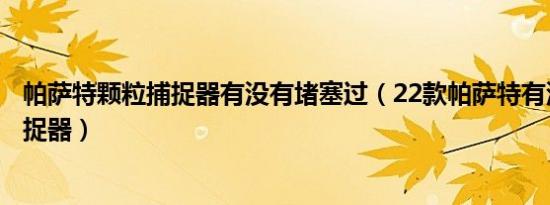 帕萨特颗粒捕捉器有没有堵塞过（22款帕萨特有没有颗粒捕捉器）