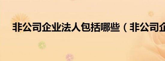 非公司企业法人包括哪些（非公司企业）